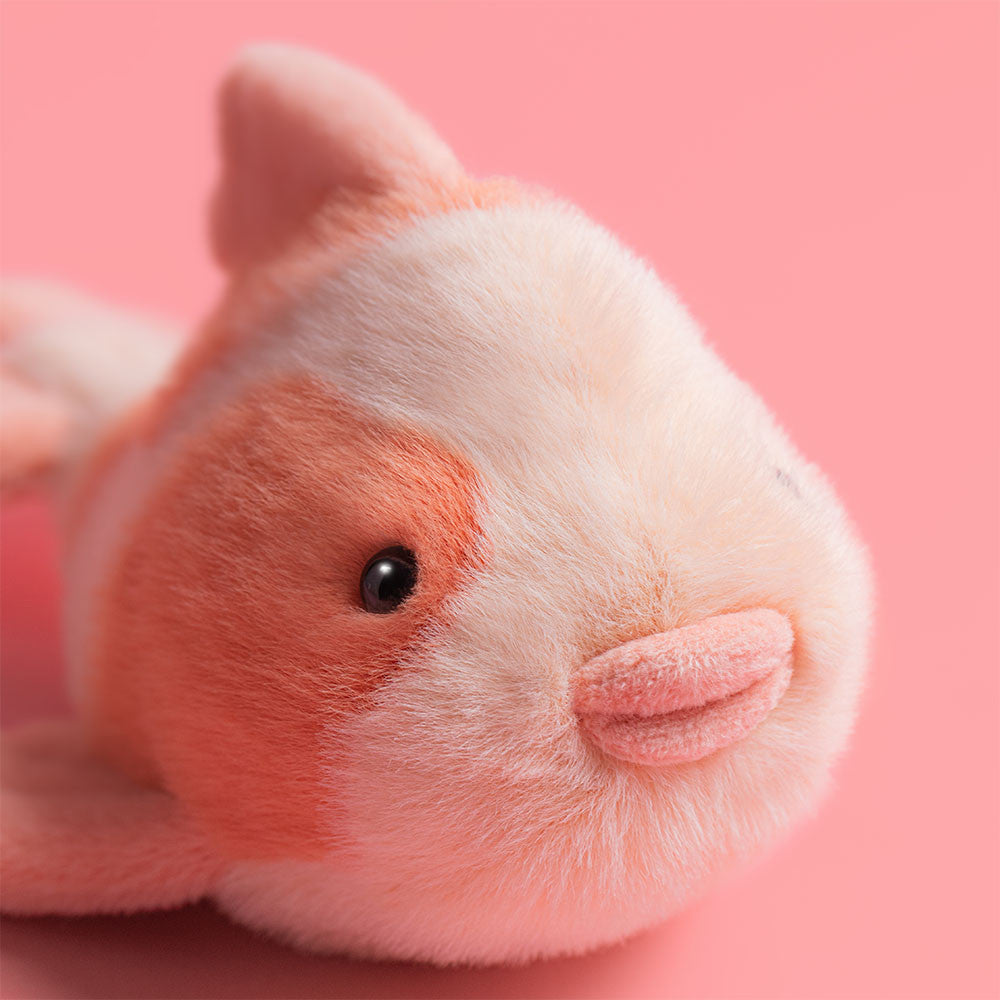 Fancy Carp - US 2561